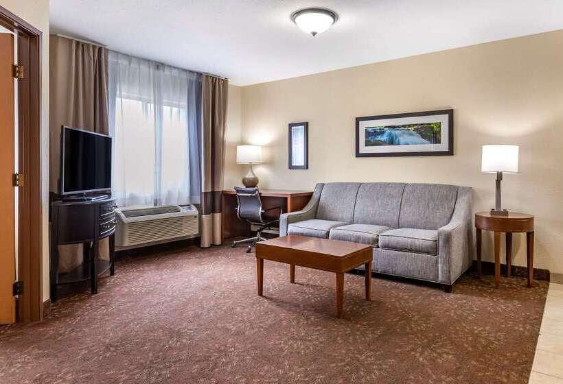 בית מלון כפרי Comfort Inn Okemos  East Lansing