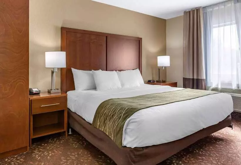호텔 Comfort Inn Okemos  East Lansing