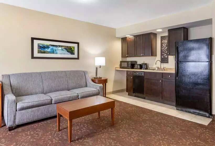 호텔 Comfort Inn Okemos  East Lansing