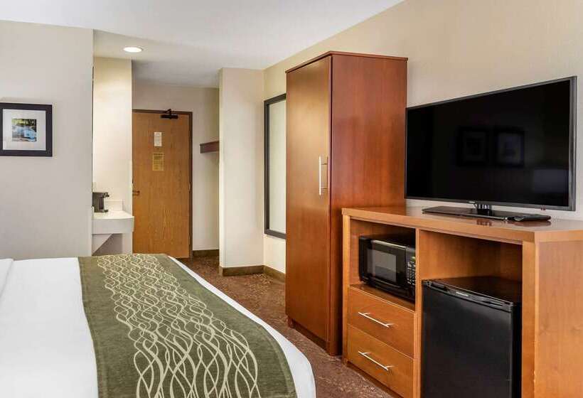 בית מלון כפרי Comfort Inn Okemos  East Lansing