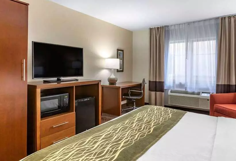 호텔 Comfort Inn Okemos  East Lansing