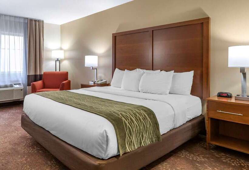 בית מלון כפרי Comfort Inn Okemos  East Lansing