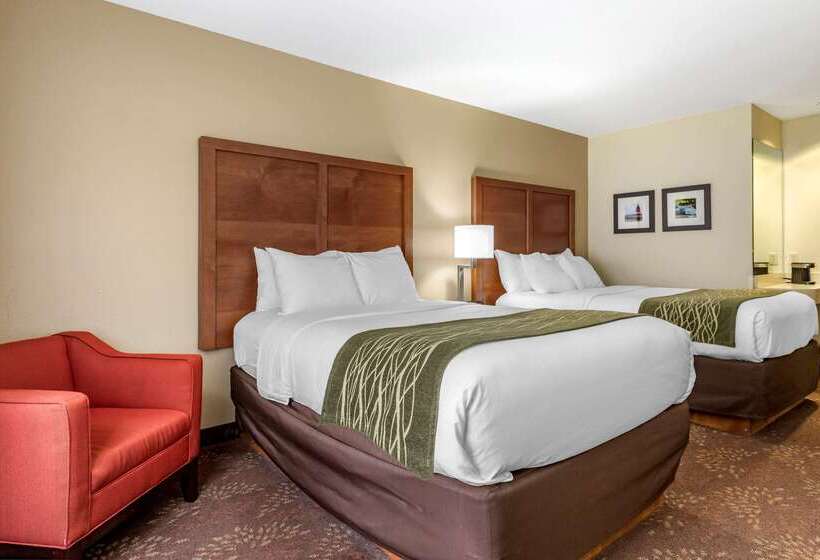 בית מלון כפרי Comfort Inn Okemos  East Lansing
