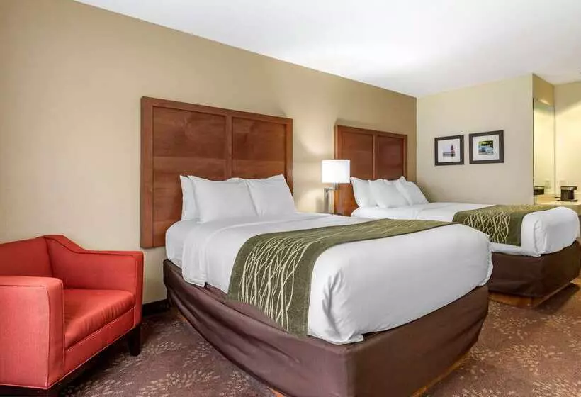 호텔 Comfort Inn Okemos  East Lansing