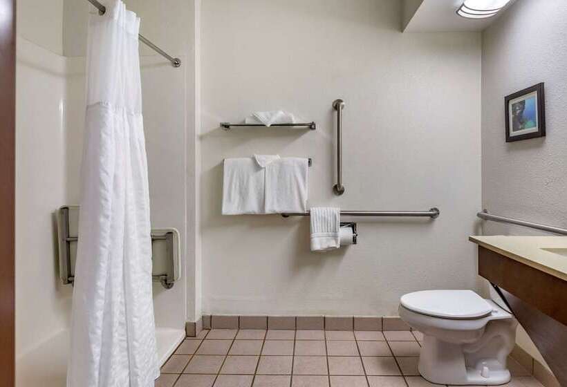 בית מלון כפרי Comfort Inn Okemos  East Lansing