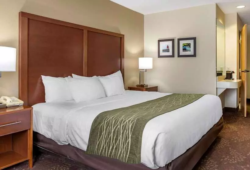호텔 Comfort Inn Okemos  East Lansing