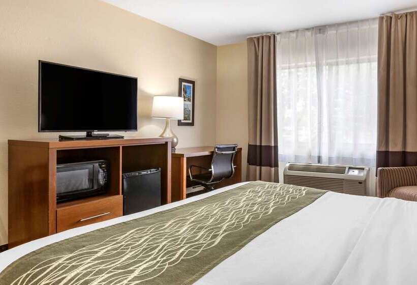 בית מלון כפרי Comfort Inn Okemos  East Lansing
