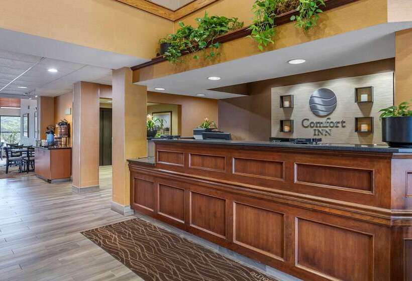 בית מלון כפרי Comfort Inn Okemos  East Lansing