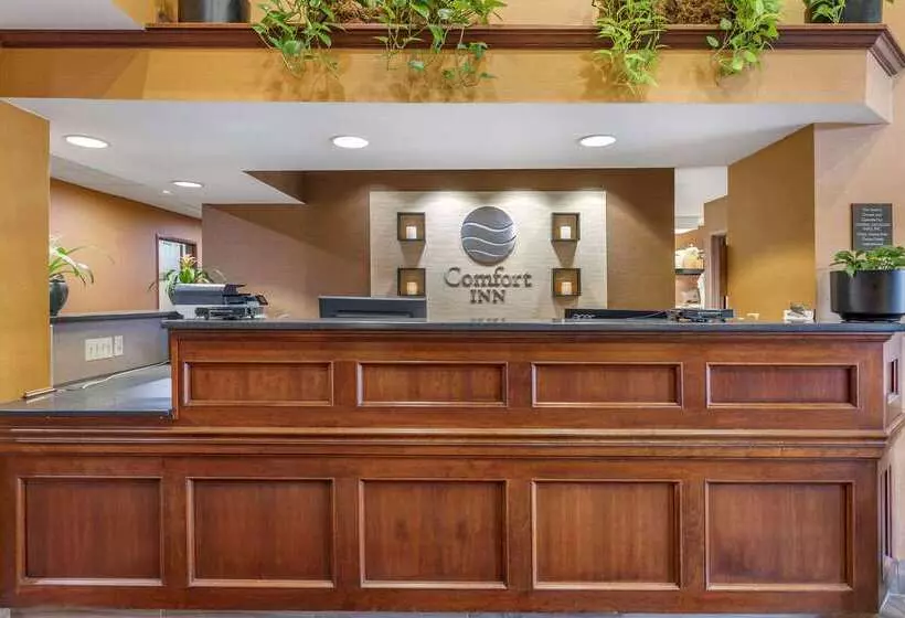 호텔 Comfort Inn Okemos  East Lansing