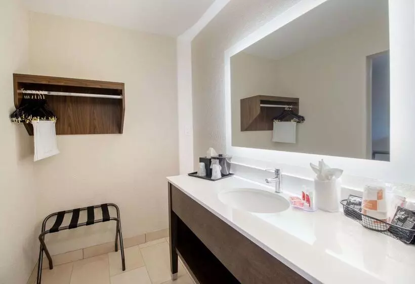 ホテル Econo Lodge Inn & Suites Foleynorth Gulf Shores