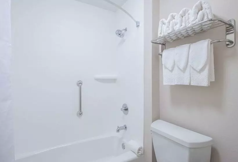 ホテル Econo Lodge Inn & Suites Foleynorth Gulf Shores