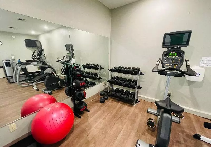 ホテル Holiday Inn Express & Suites Sulphur   Lake Charles, An Ihg