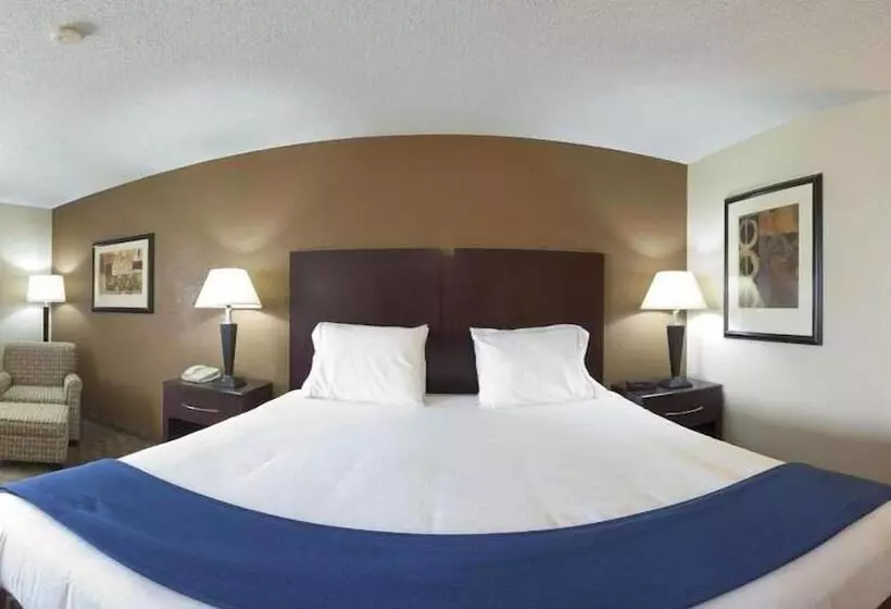 ホテル Holiday Inn Express Tuscola By Ihg