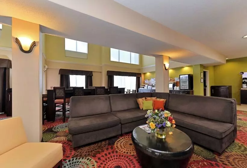 酒店 Holiday Inn Express White House, An Ihg