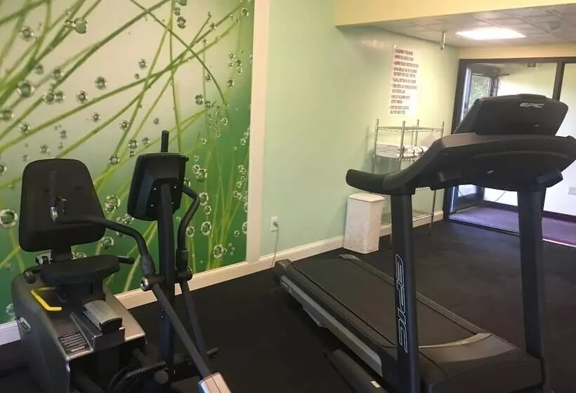 호텔 Mountain Inn & Suites