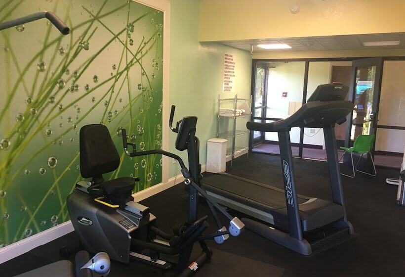 Отель Mountain Inn & Suites