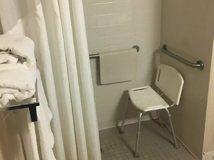 호텔 Mountain Inn & Suites