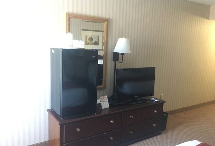 Отель Mountain Inn & Suites