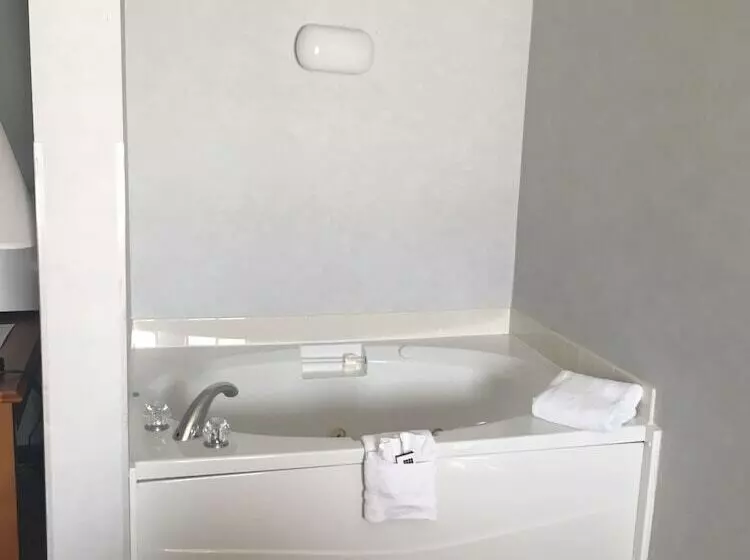 호텔 Mountain Inn & Suites