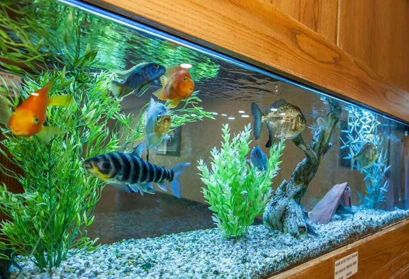 ホテル Quality Inn Conference Center Logansport