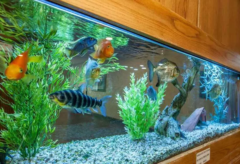 בית מלון כפרי Quality Inn Conference Center Logansport