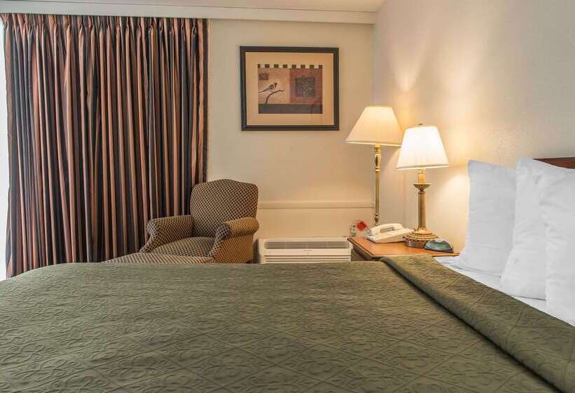 فندق Rodeway Inn