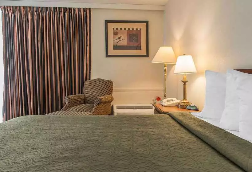 ホテル Rodeway Inn