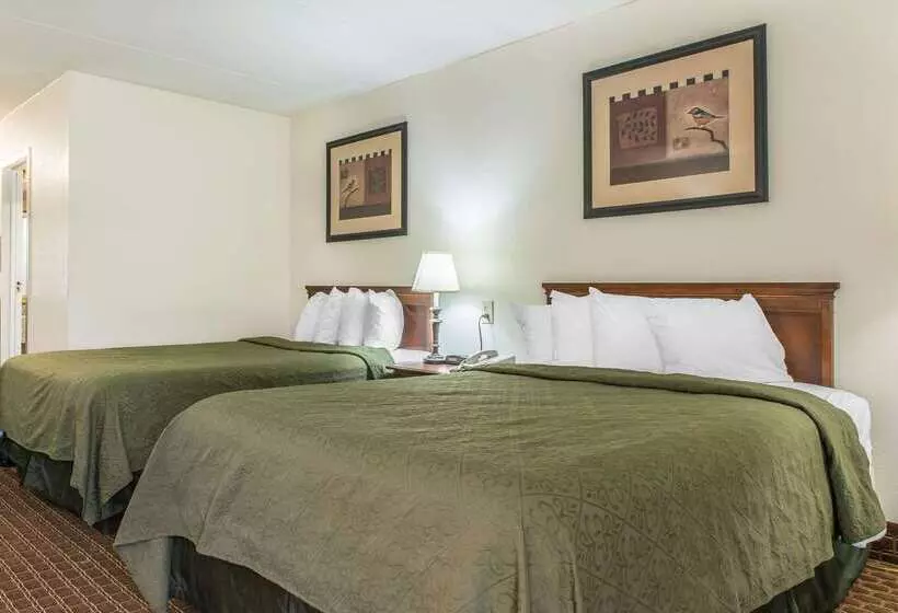 ホテル Rodeway Inn