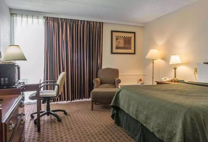 ホテル Rodeway Inn