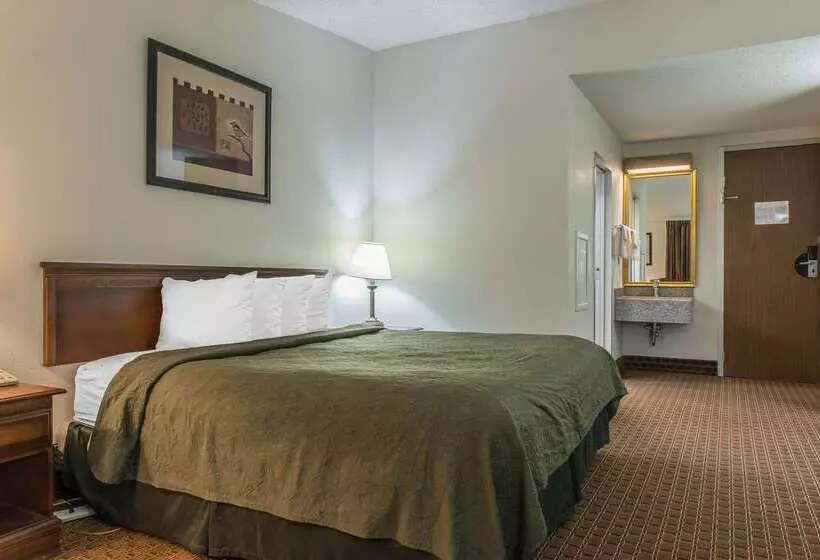 ホテル Rodeway Inn