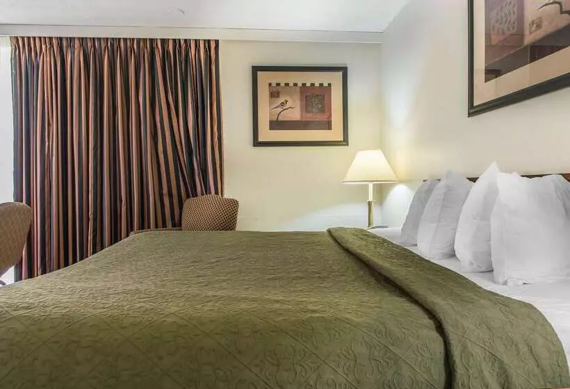 ホテル Rodeway Inn