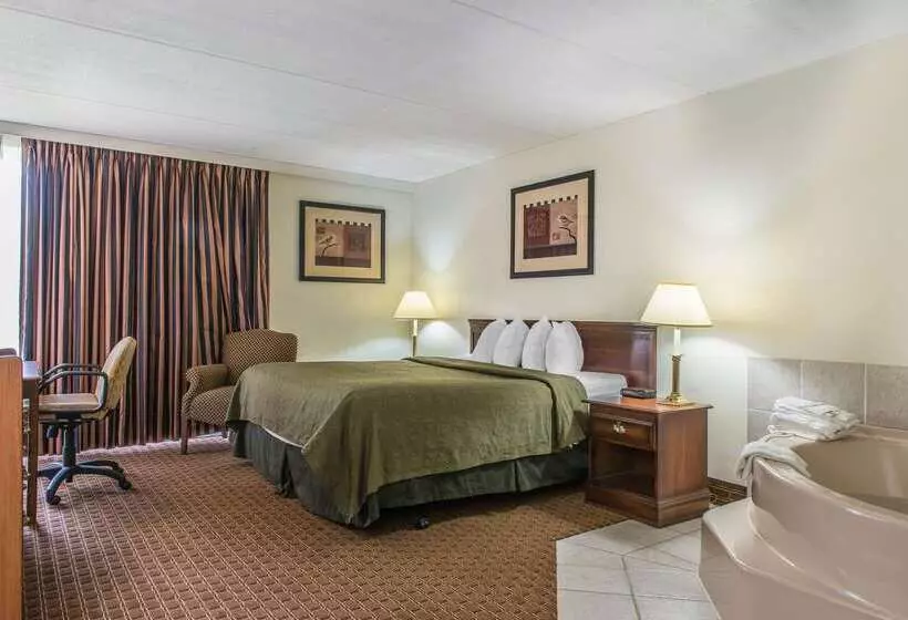 ホテル Rodeway Inn