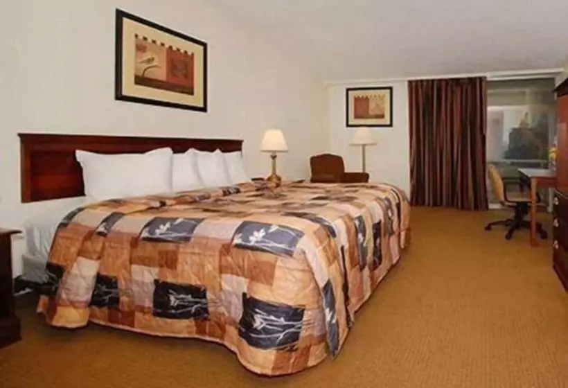 ホテル Rodeway Inn