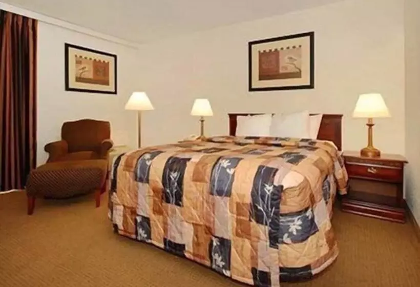 ホテル Rodeway Inn