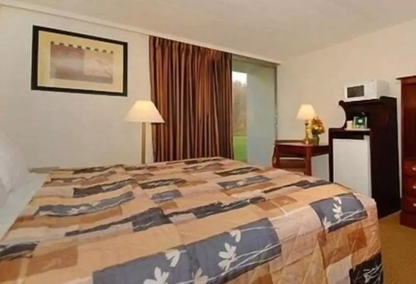 ホテル Rodeway Inn