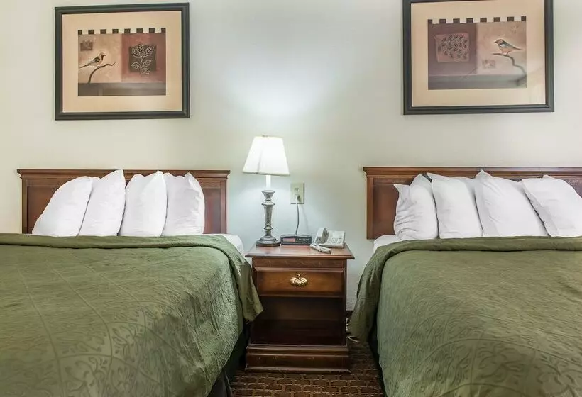 ホテル Rodeway Inn