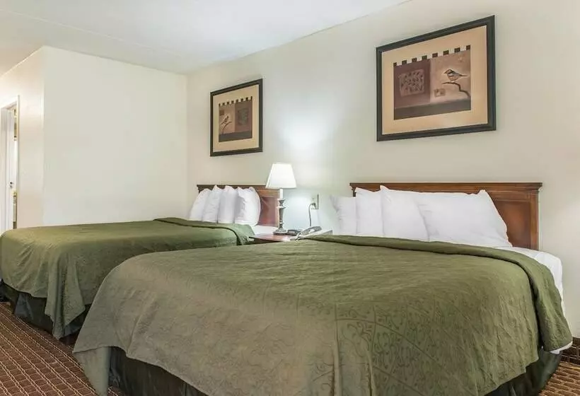 ホテル Rodeway Inn