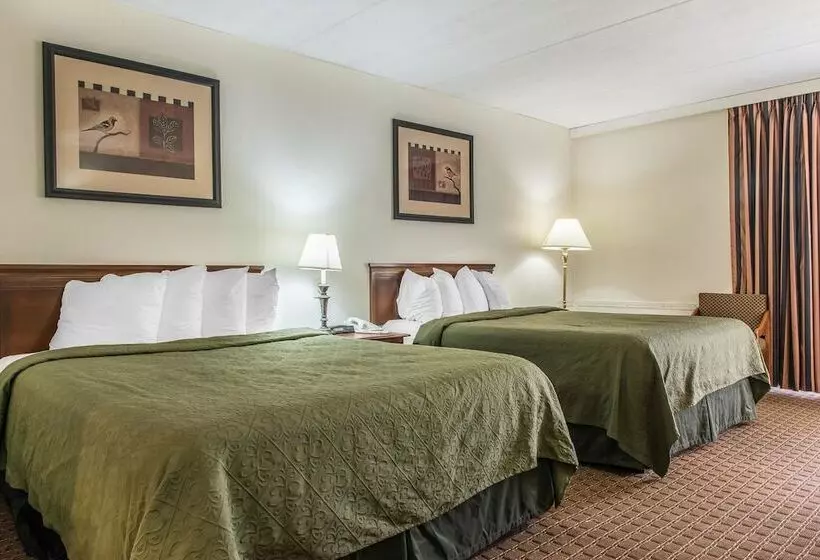 ホテル Rodeway Inn