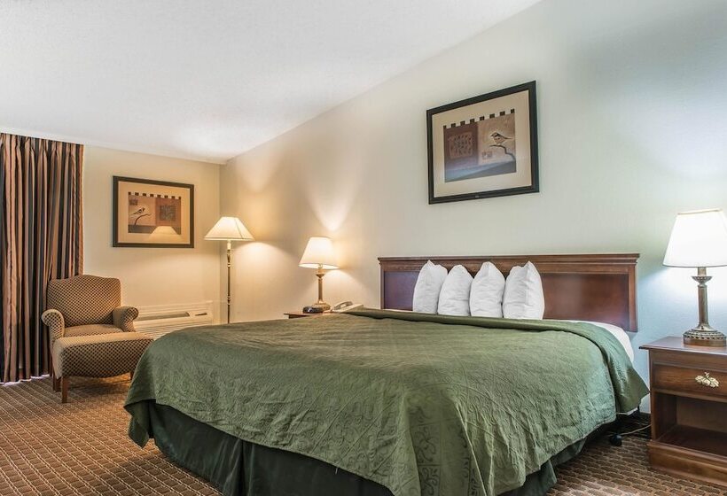 فندق Rodeway Inn