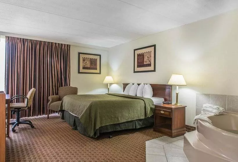 ホテル Rodeway Inn