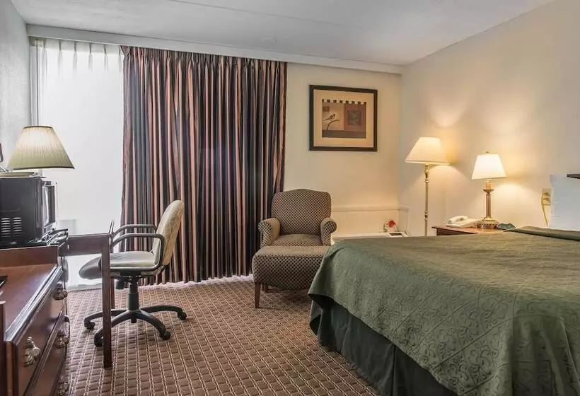 ホテル Rodeway Inn