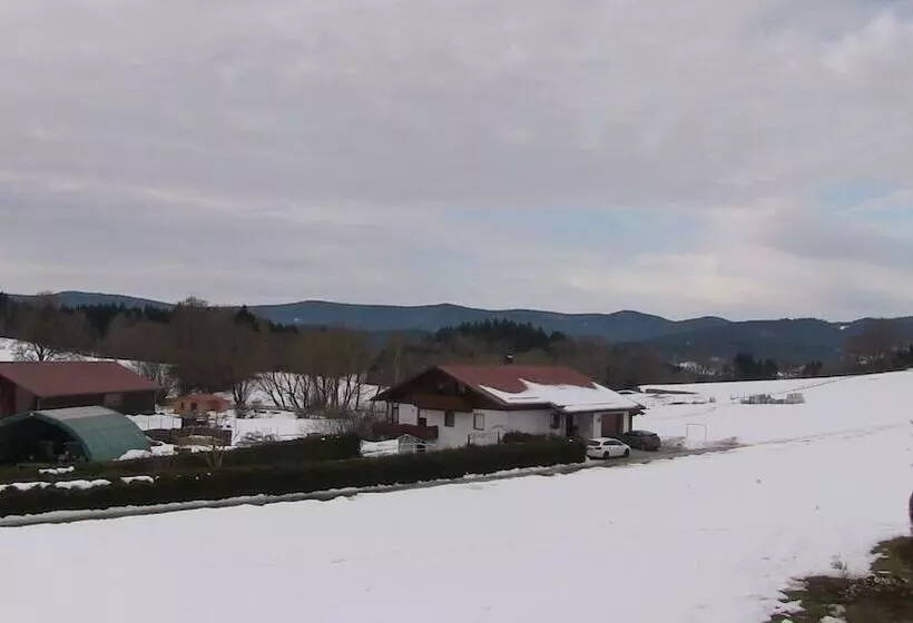 Ferienwohnung Max Riedl