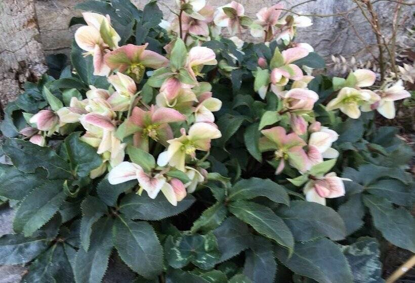 Apartment Kumicic 3 Bedrooms