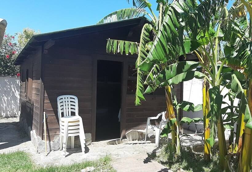 בית מלון כפרי Bungalows La Abuelita