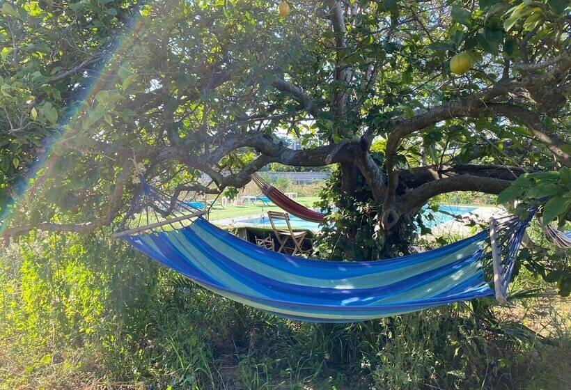 Tiny Casa Mobile House