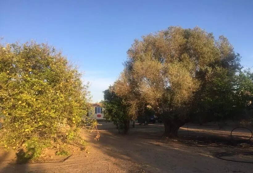 Tiny Casa   Mobile House