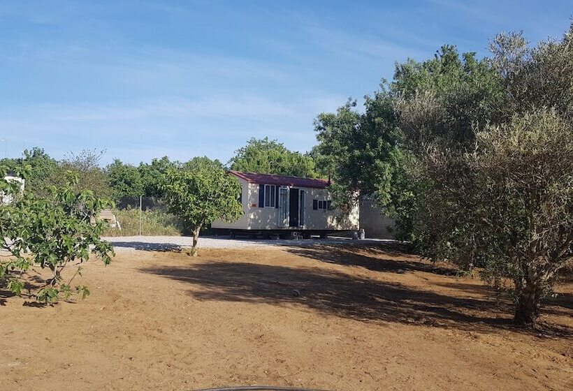 Tiny Casa Mobile House