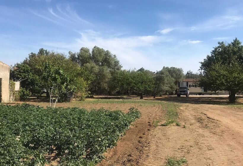 Tiny Casa Mobile House