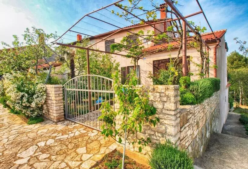 Apartments Dvorine 1210