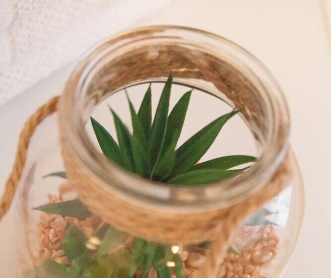 Heidelberg Apheartments